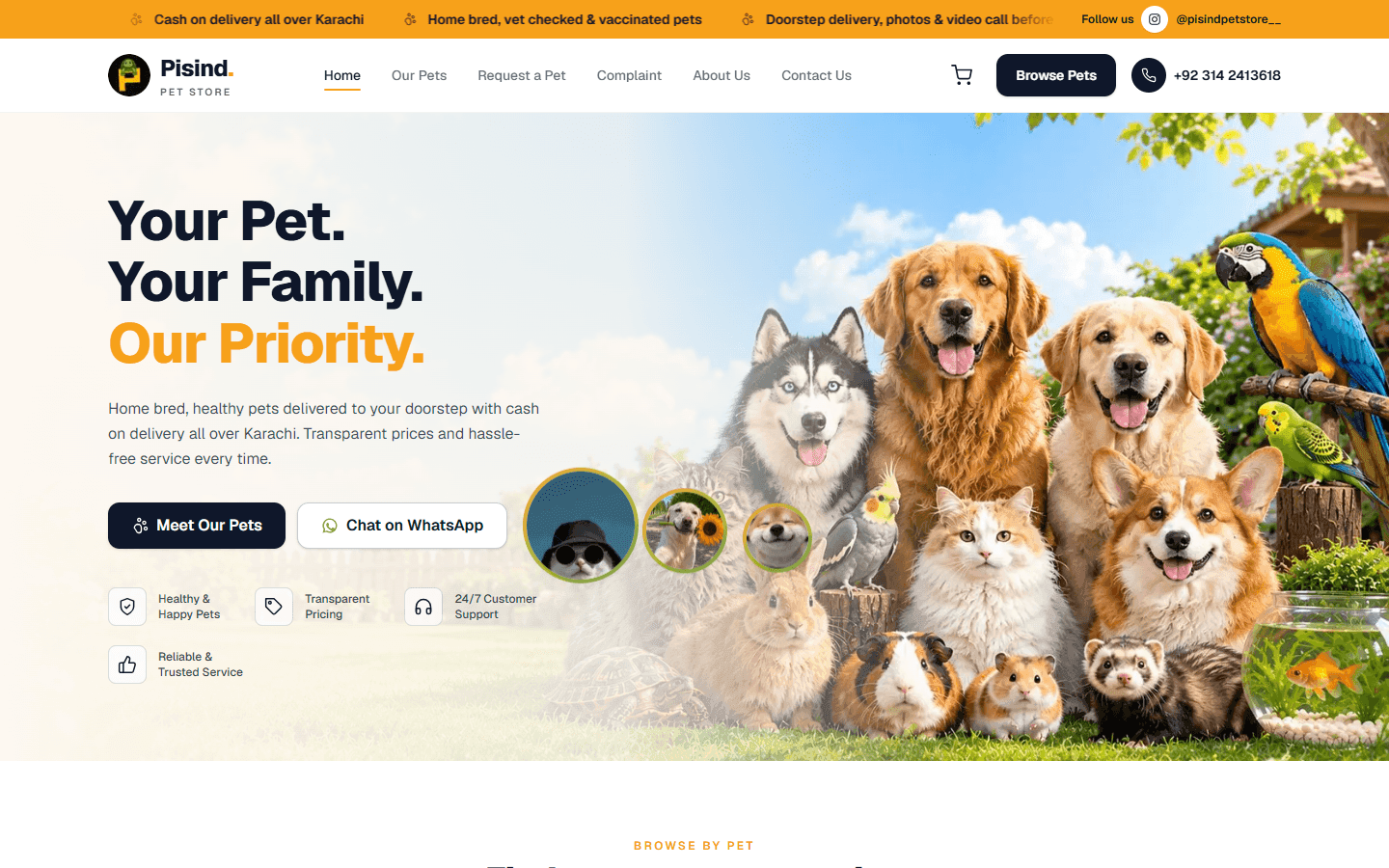Pisind Pet Store: E-commerce Web App Case Study